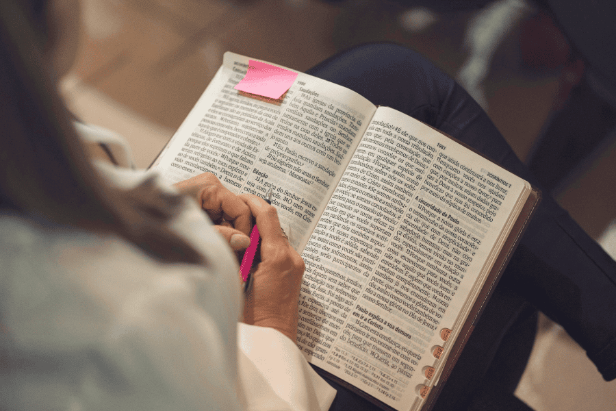 Web basic images (1)