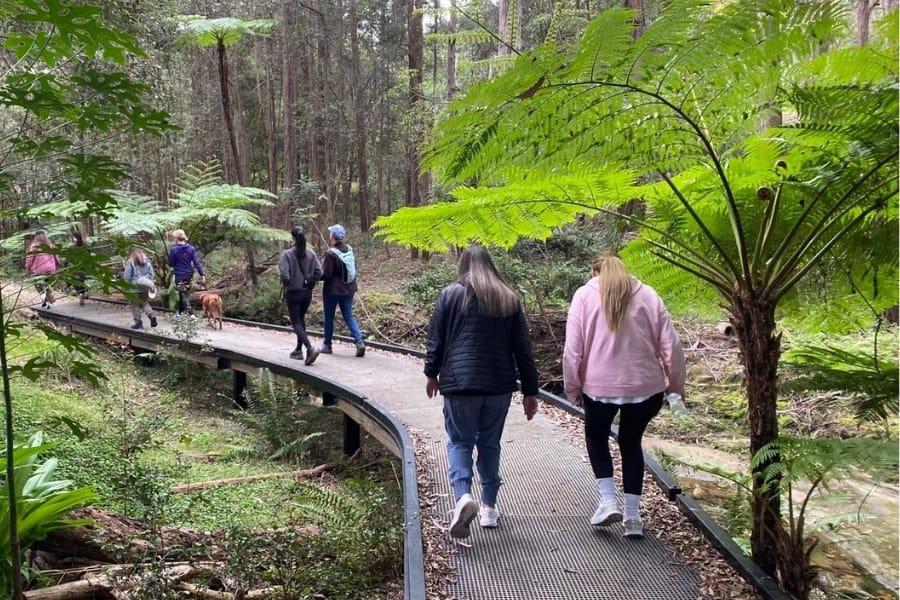 Web basic images (6)